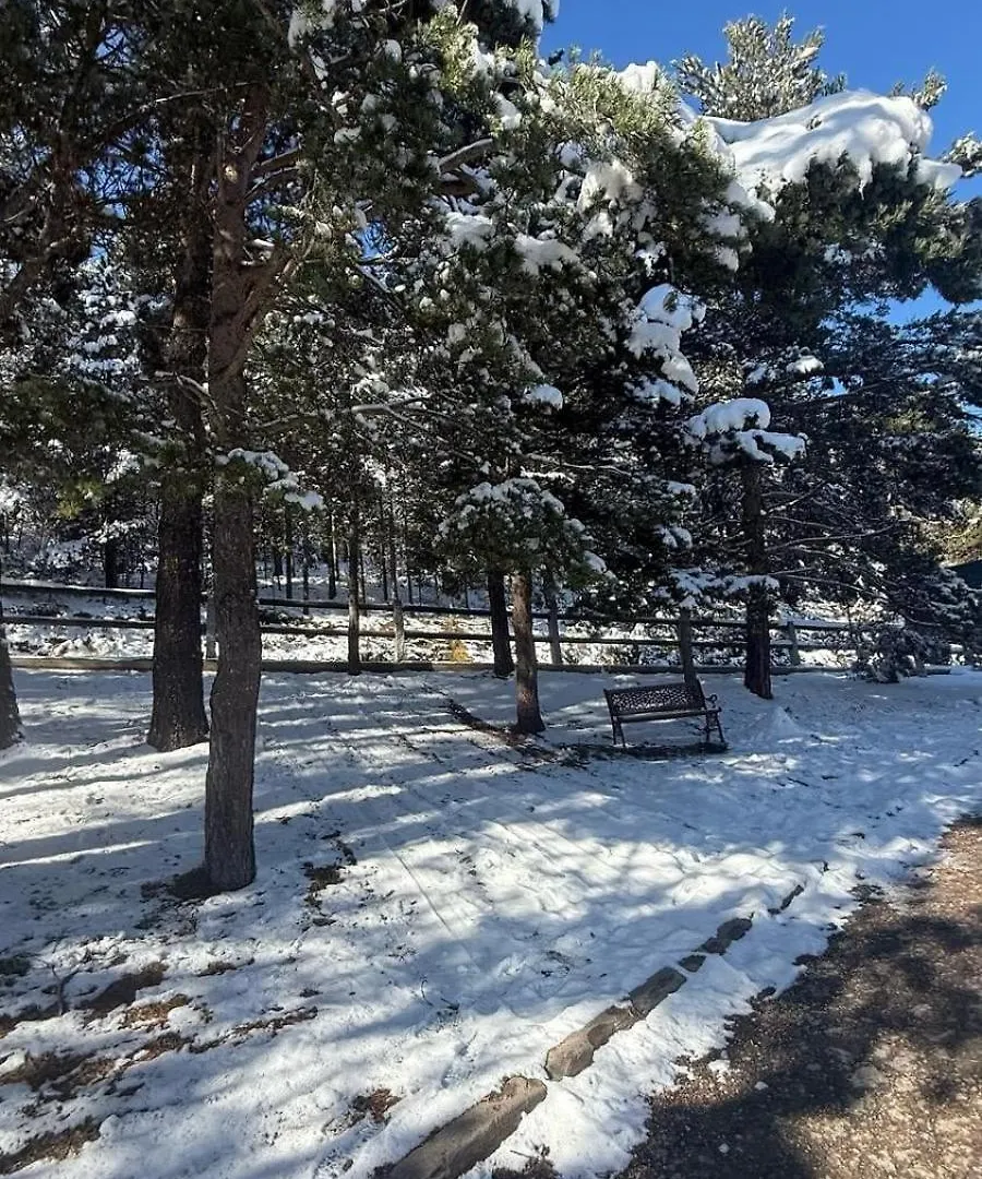 Apartamento Rustico La Molina Alp 0*,